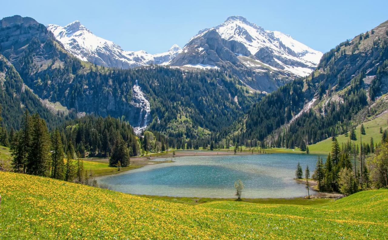 Hotel Alpenland Gstaad Esterno foto